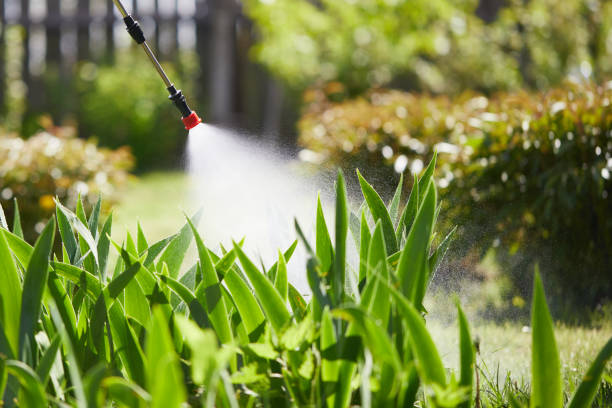 24/7 Emergency Fumigation Services experts in Finneytown, OH